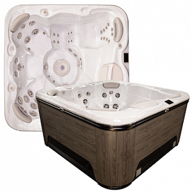 Спа бассейн Hydropool Signature 655 Gold