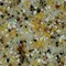 Golden Pebble Golden Pebble